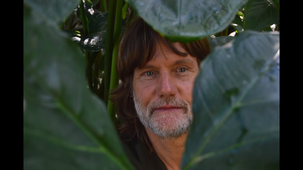 The 2 Highest Benefits From Using Psychedelics!