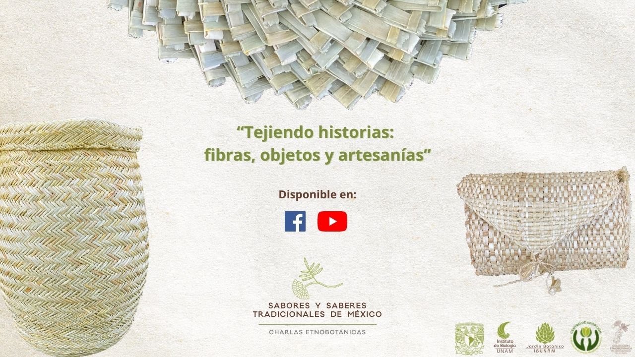 Charlas etnobotánicas: Tejiendo historias: fibras, objetos y artesanías
