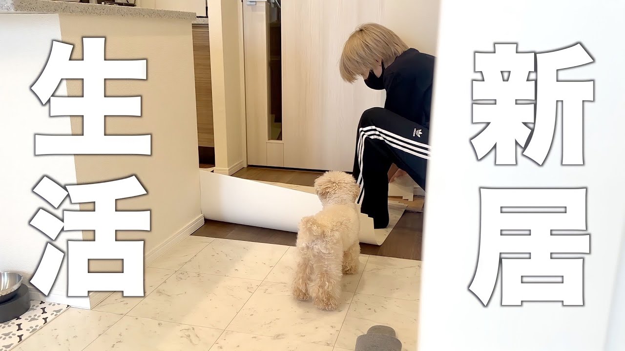 独身男が愛犬の為に全力を尽くした２日間【トイプードル】
