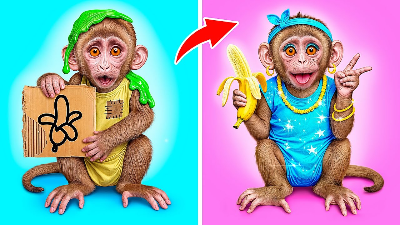 От Непопулярной до Популярной Обезьянки с Multi DO Challenge