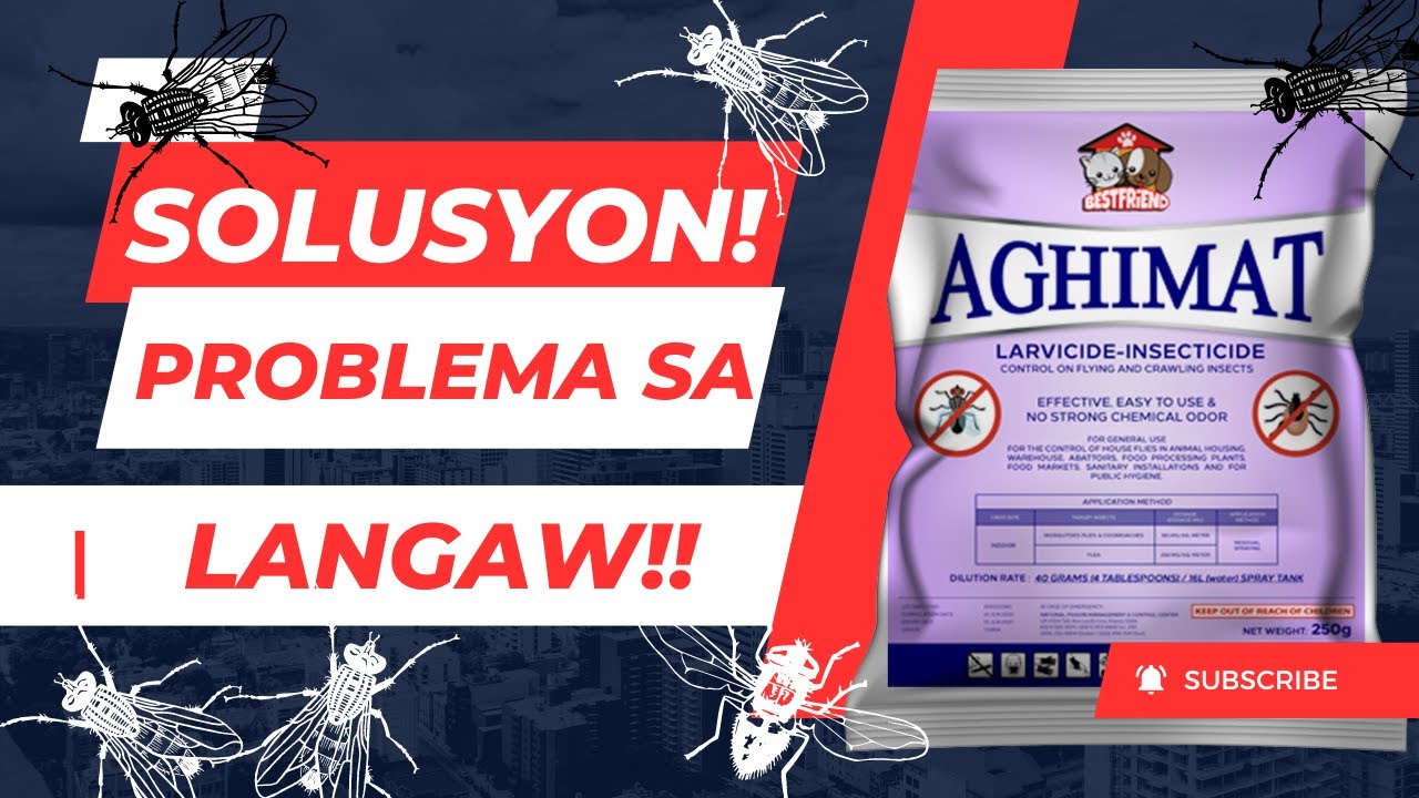 Solusyon problema sa LANGAW! | Gamit ang AGHIMAT Larvicide-Insecticide