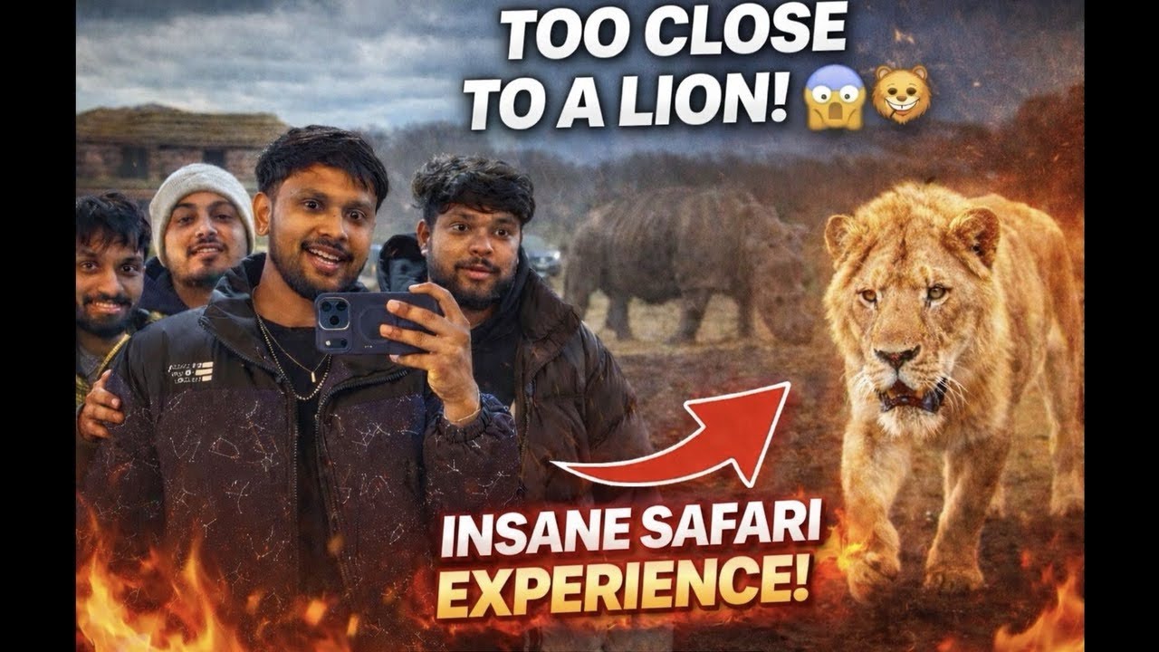 Safari Gone Wild! Real Jungle Vibes 🐾 🐅 