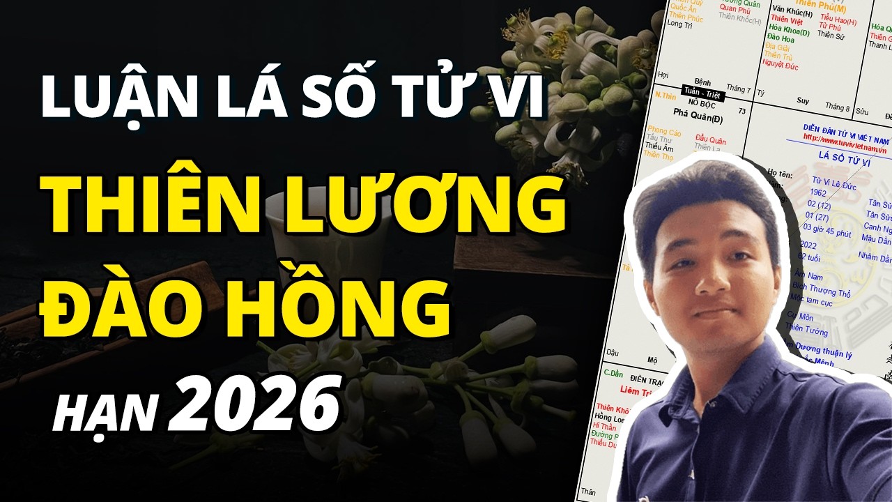 LÁ SỐ TỬ VI TUỔI ĐINH MÃO - Nữ Mệnh Thiên Lương Đào Hồng Tại Tí | Tử Vi Lê Đức
