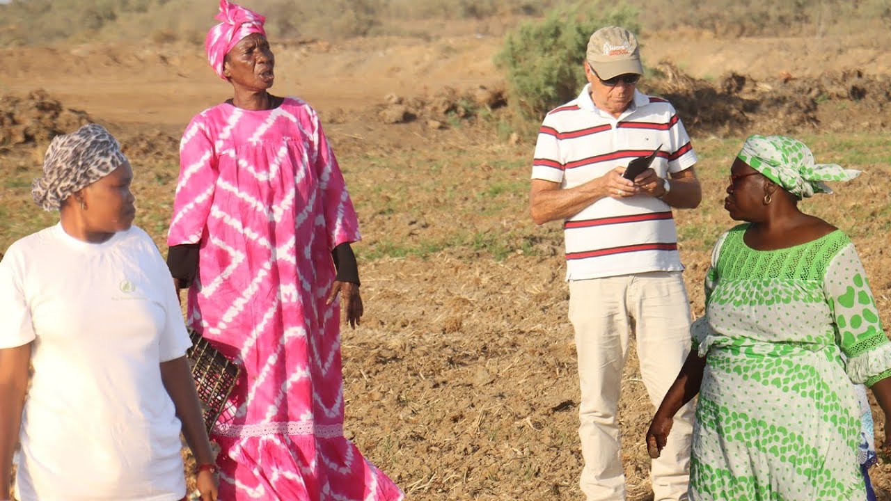 Ross Bethio les femmes agricultrices accueillent un potentiel partenaire, les jeunes filles récl...