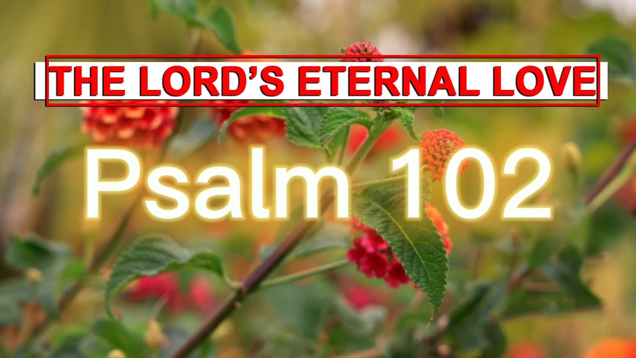 Psalm 102 - The Lord's Eternal Love (NKJV)