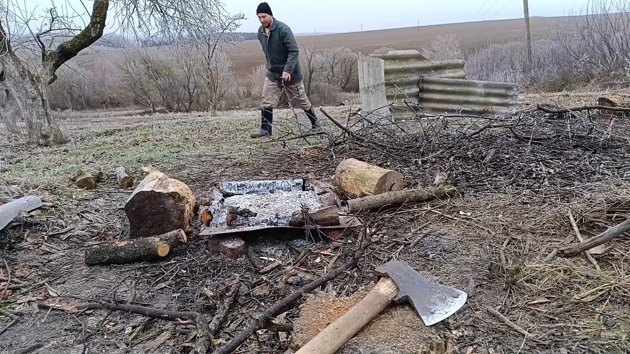 Winter. Ash for chicken.  Bird Feeder Homemade.  How to Feed Wild Birds.