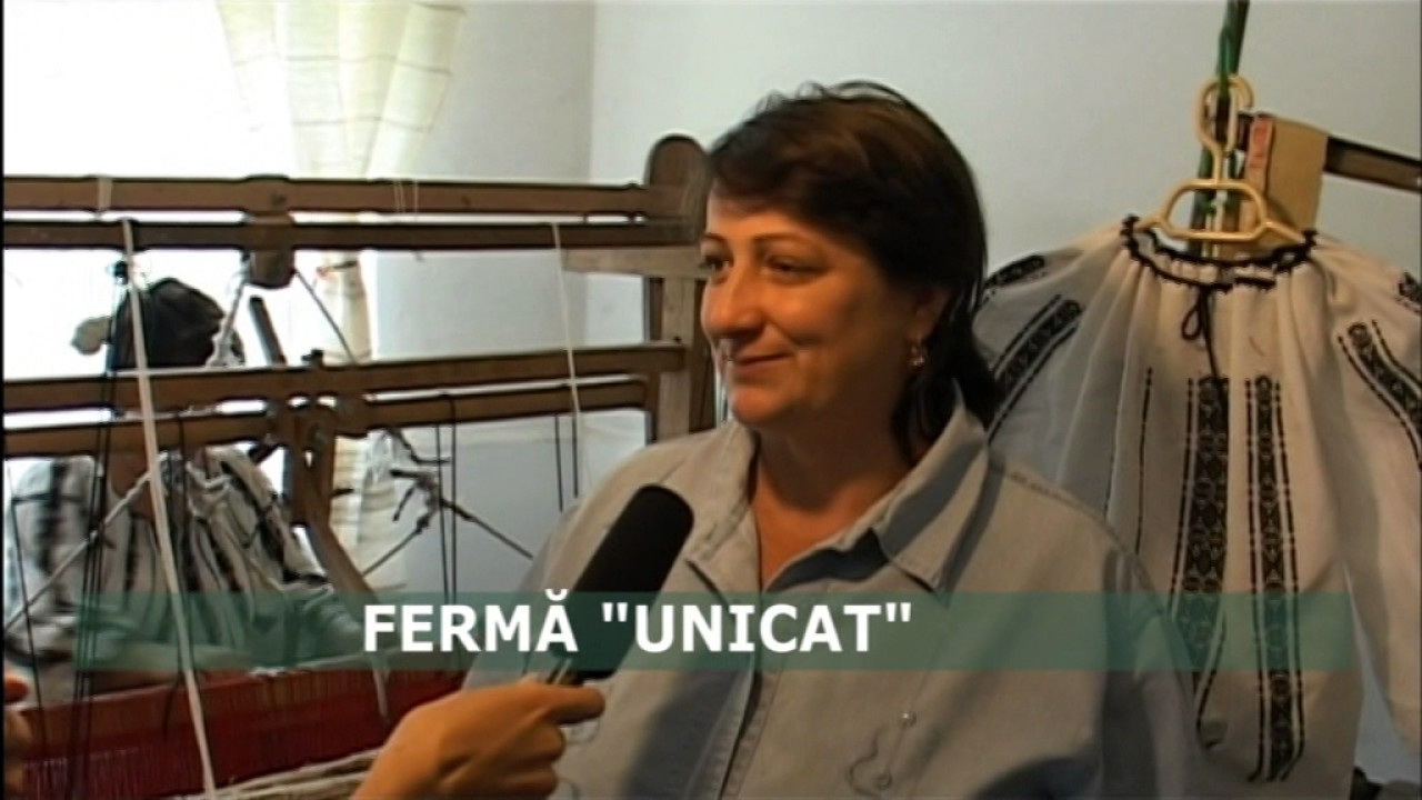 Inceputurile Borangic, ferma si tesatoria