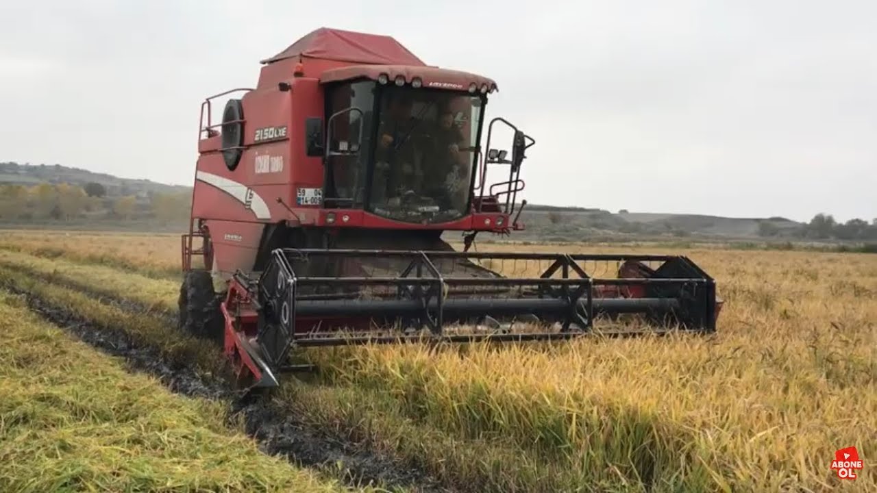 ÇAYIRLIK SÜREKLİ BATTIĞIMIZ TARLAYI BİÇİYORUZ | LAVERDA 21.50