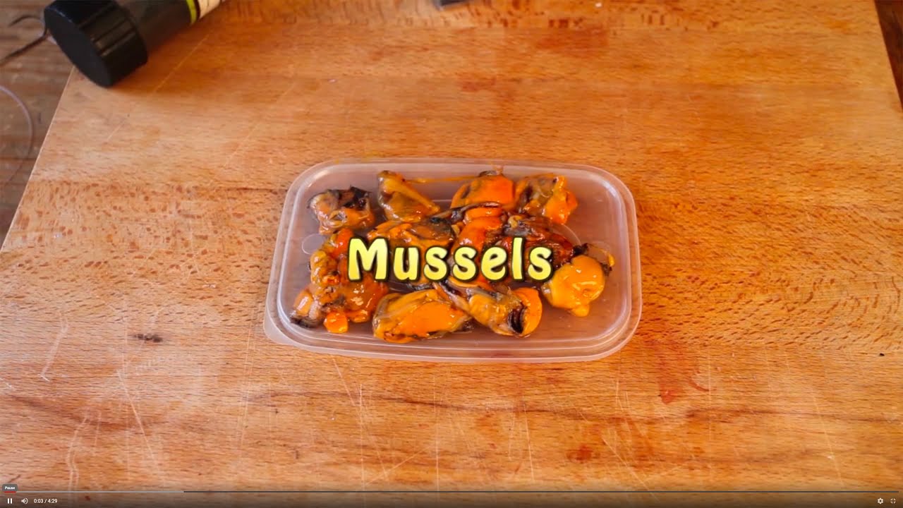 Bass Fishing Baits - How To Fish Mussels