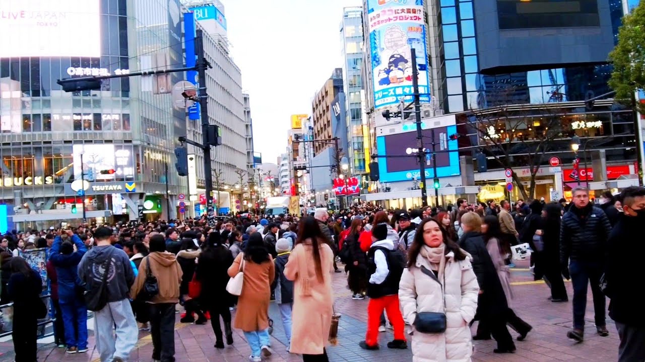 Evening walking tour in Shibuya city & sightseeing. Tokyo , Japan. 