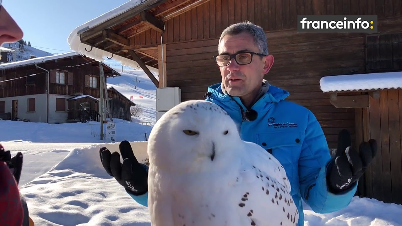 Pour la planète : Pour la planète : Jacques-Olivier Travers, une vie au service des rapaces