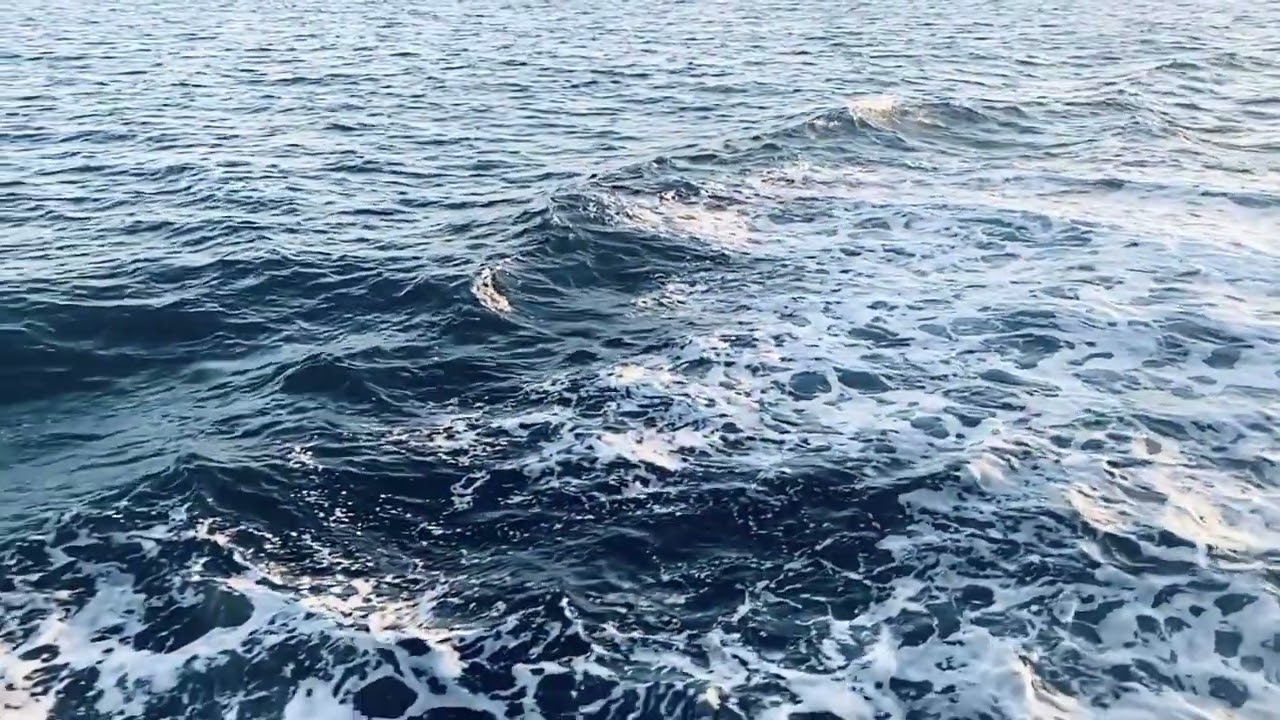 MAJESTIC SEAS | EARTH Nature Music | Kevin Roy Kerrigan