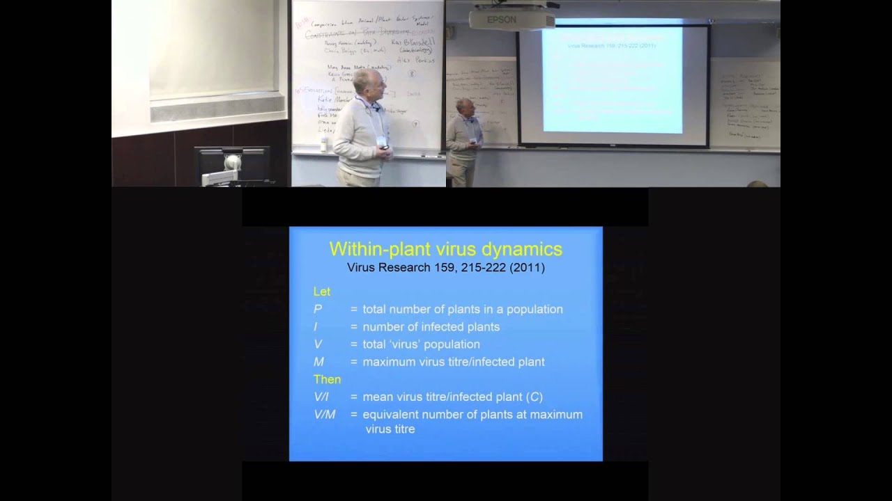 Modelling transmission: The key to understanding plant virus disease dynamics