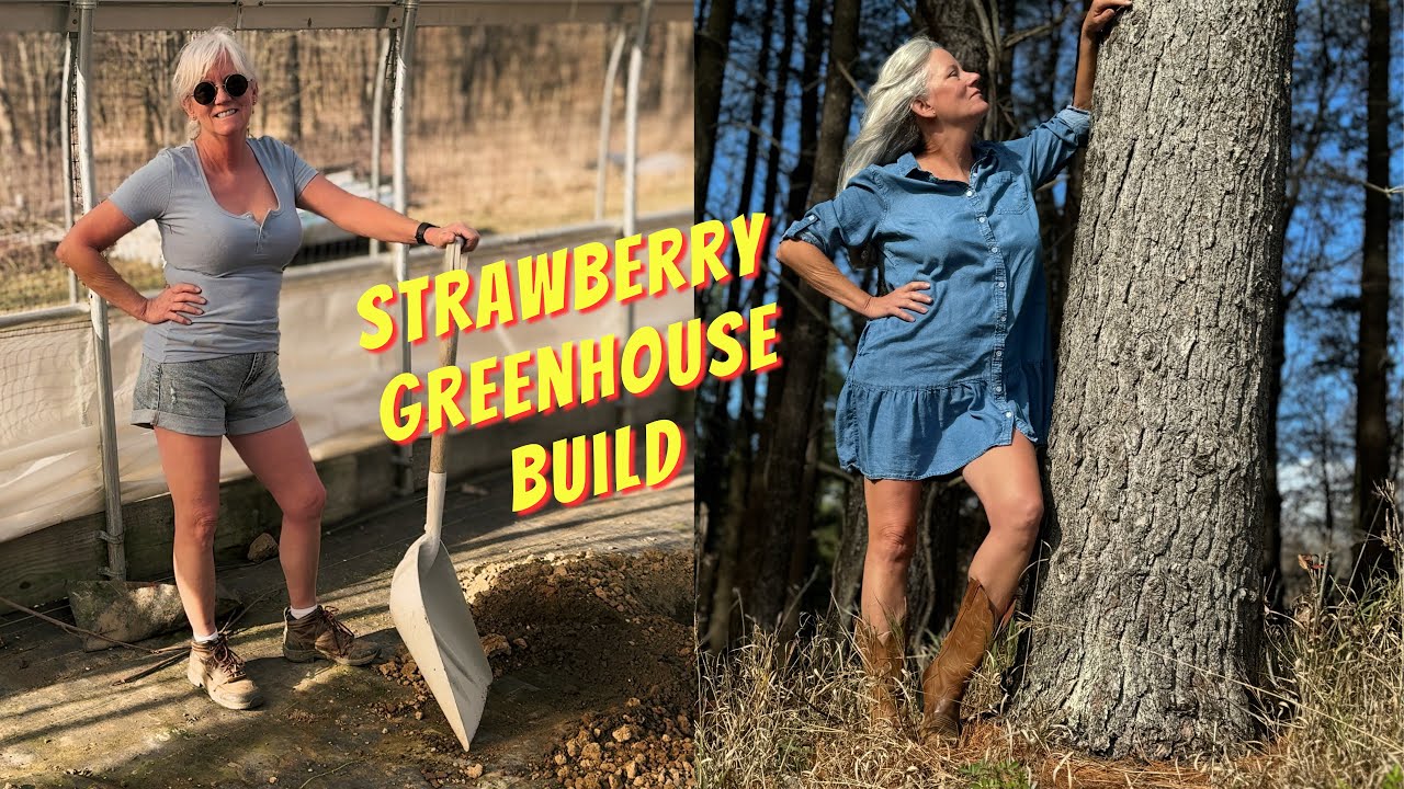 DIY Hydroponic Strawberry Greenhouse Build Part 1