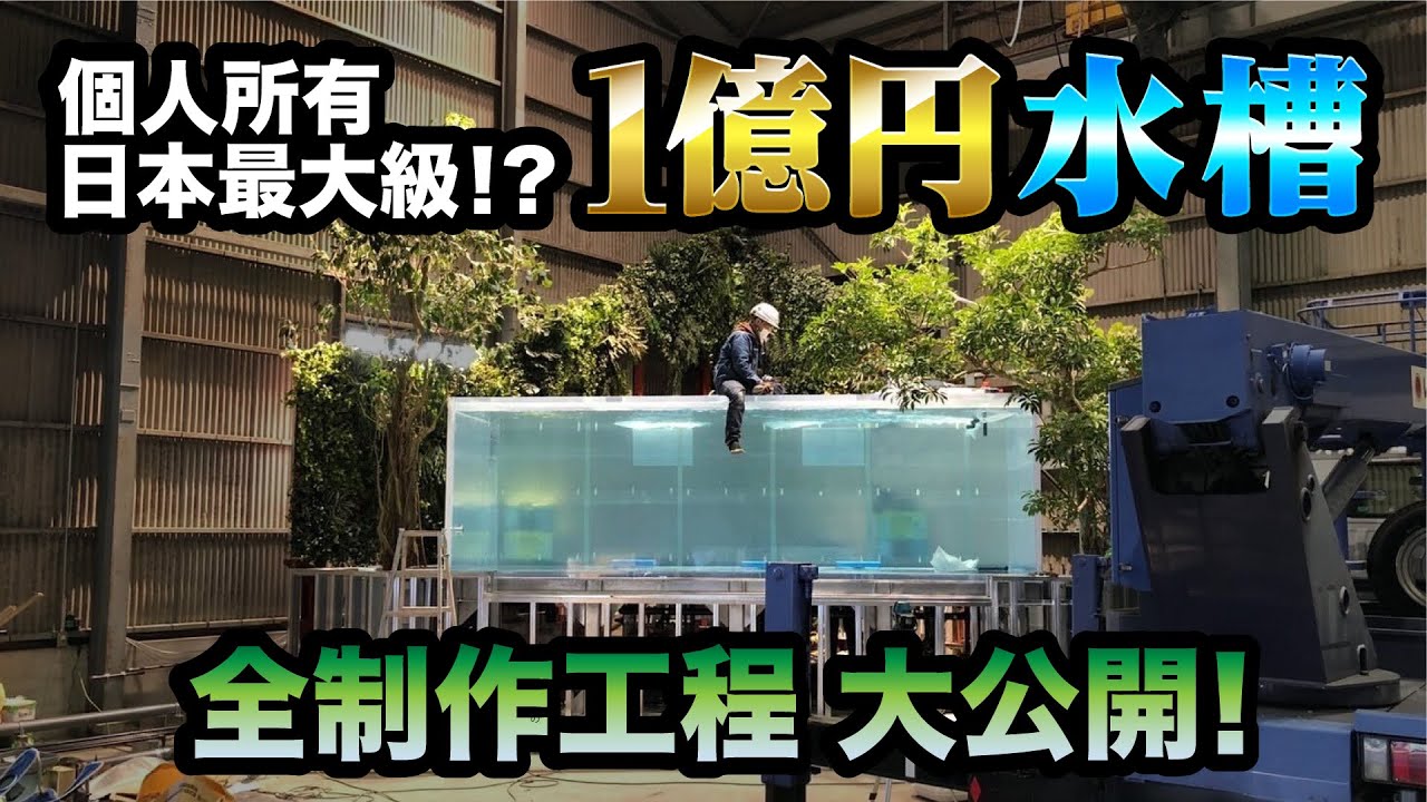 1億円水槽の制作工程！全てお見せします！！