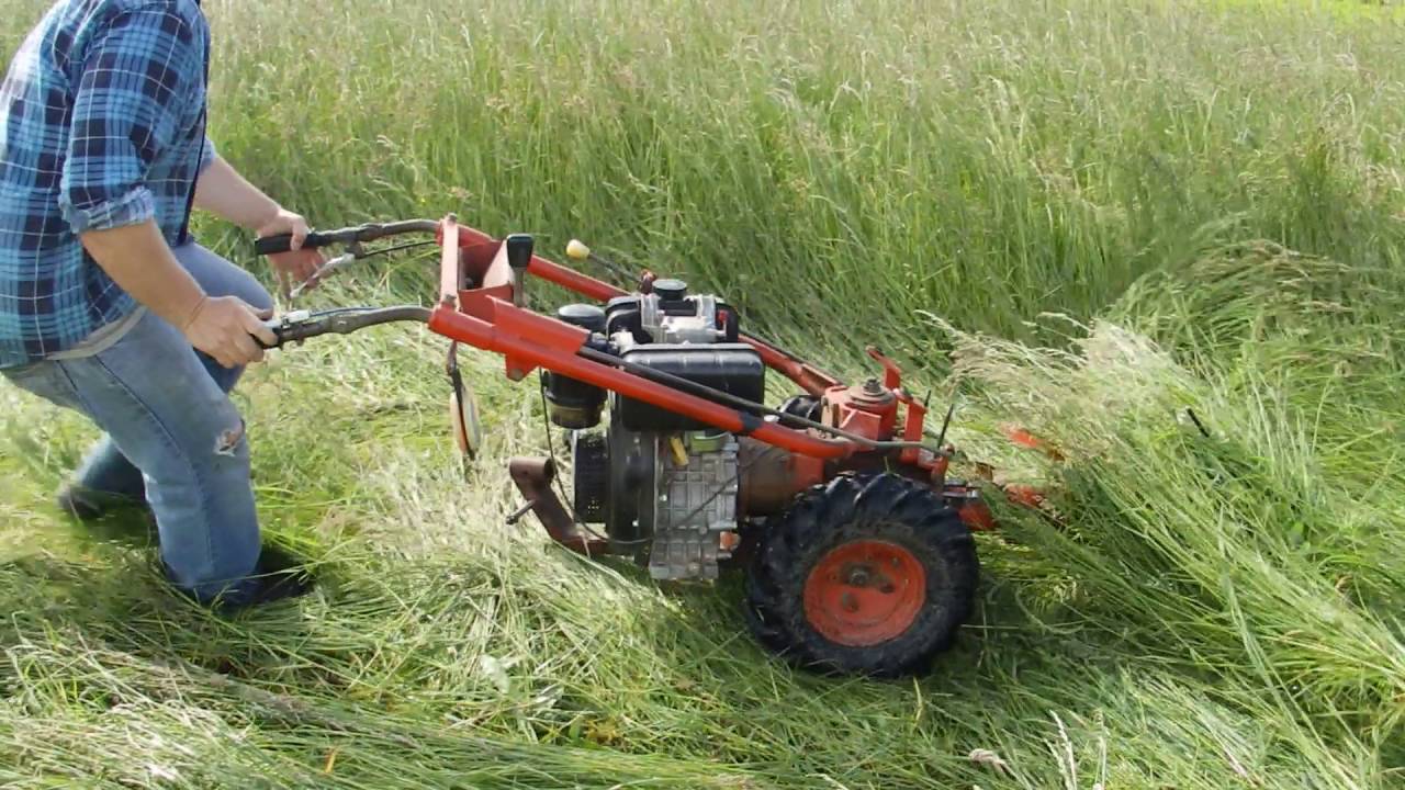 lišta