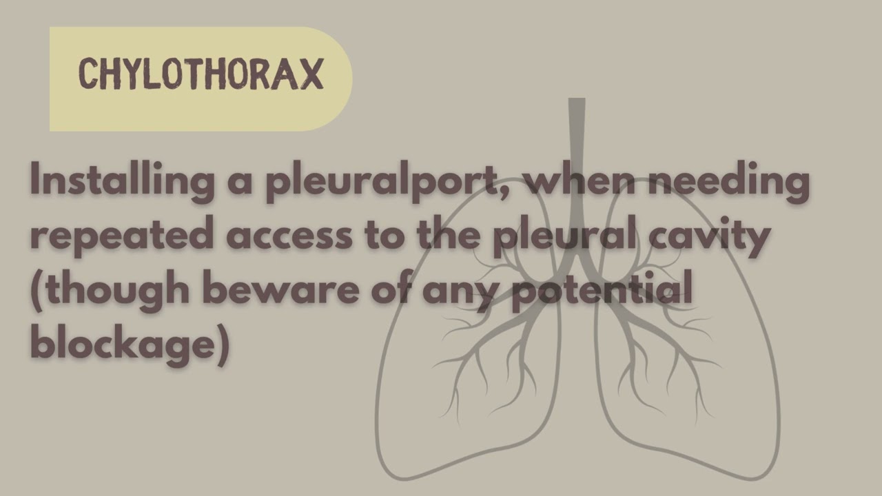 Chylothorax in cats