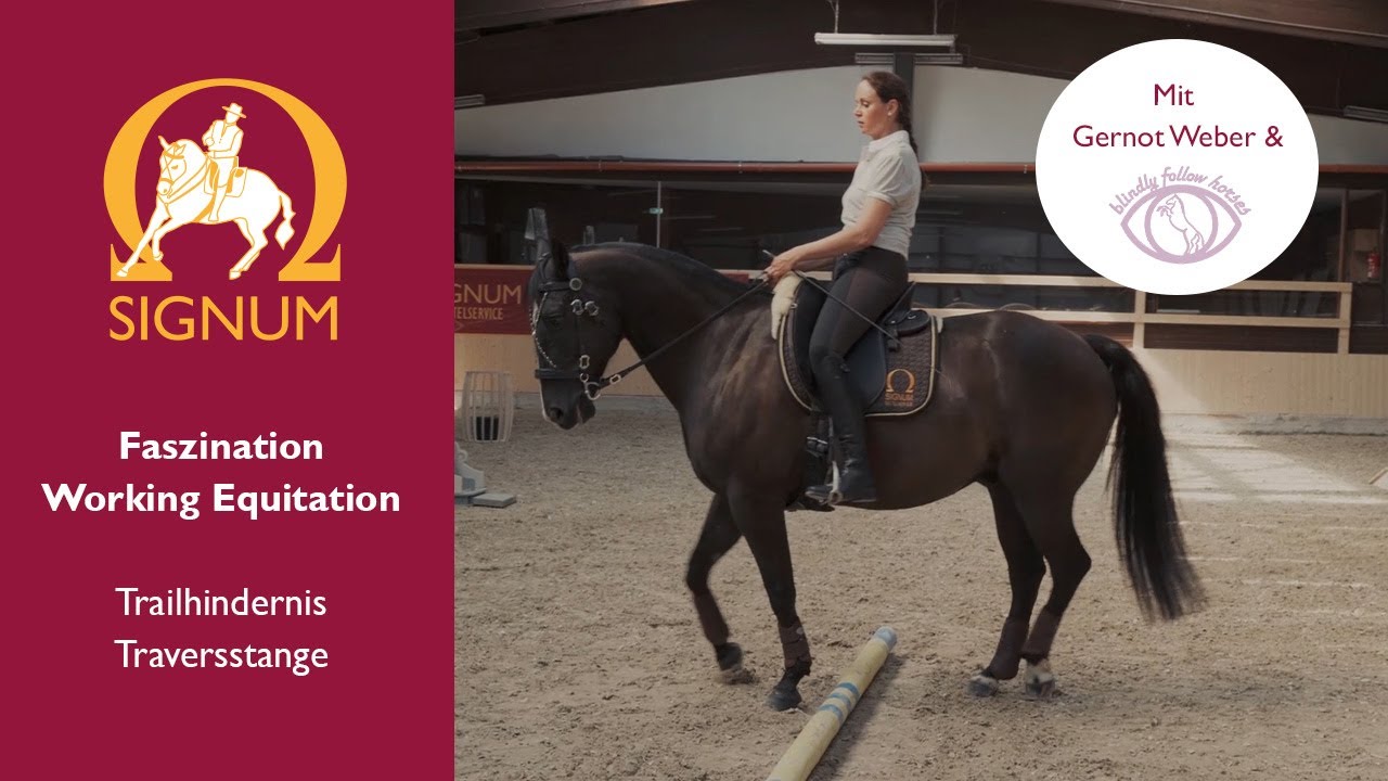 Faszination Working Equitation - das Trailhindernis Traversstange in der Praxis