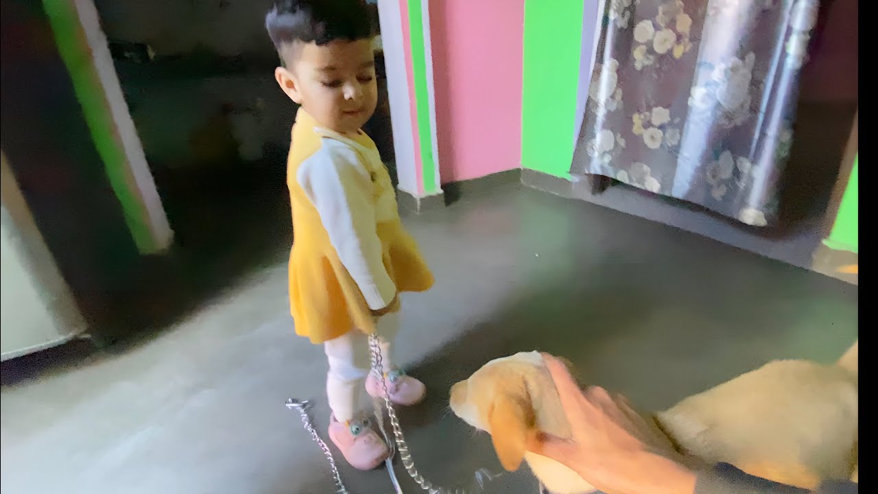 Kritika ne Scooby KO Mara 🙂
