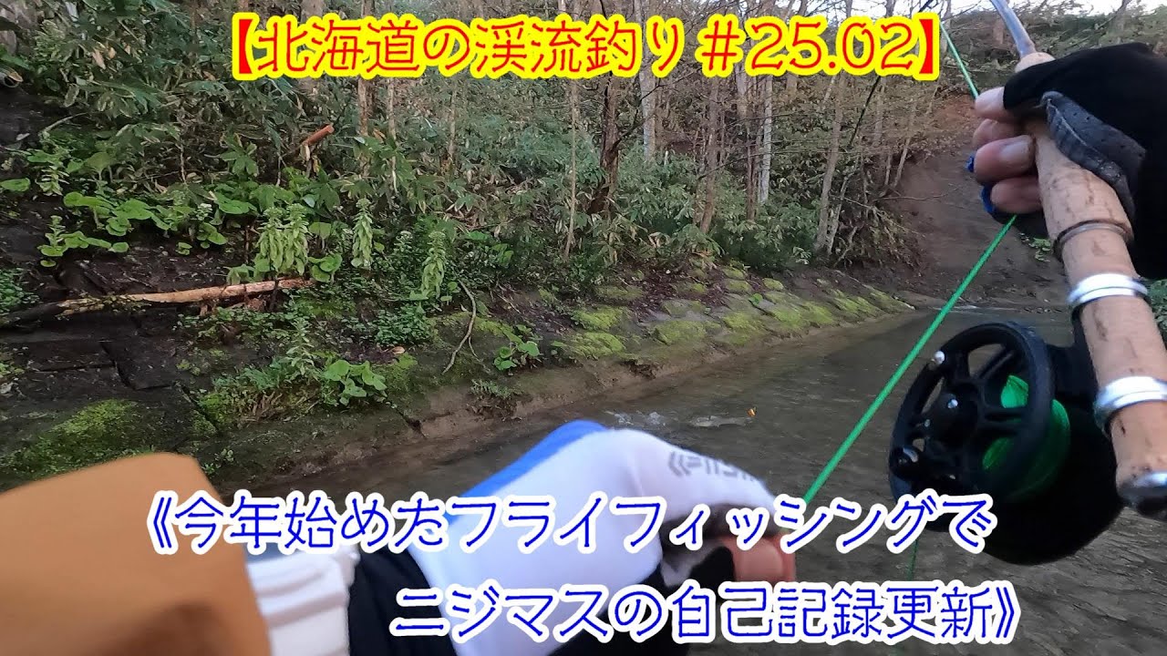 【北海道の渓流釣り＃25 02】《フライフィッシング1発目で自己最高サイズのニジマス》渓流釣り　　道央河川　北海道　フライフィッシング　ルースニング　ニジマス