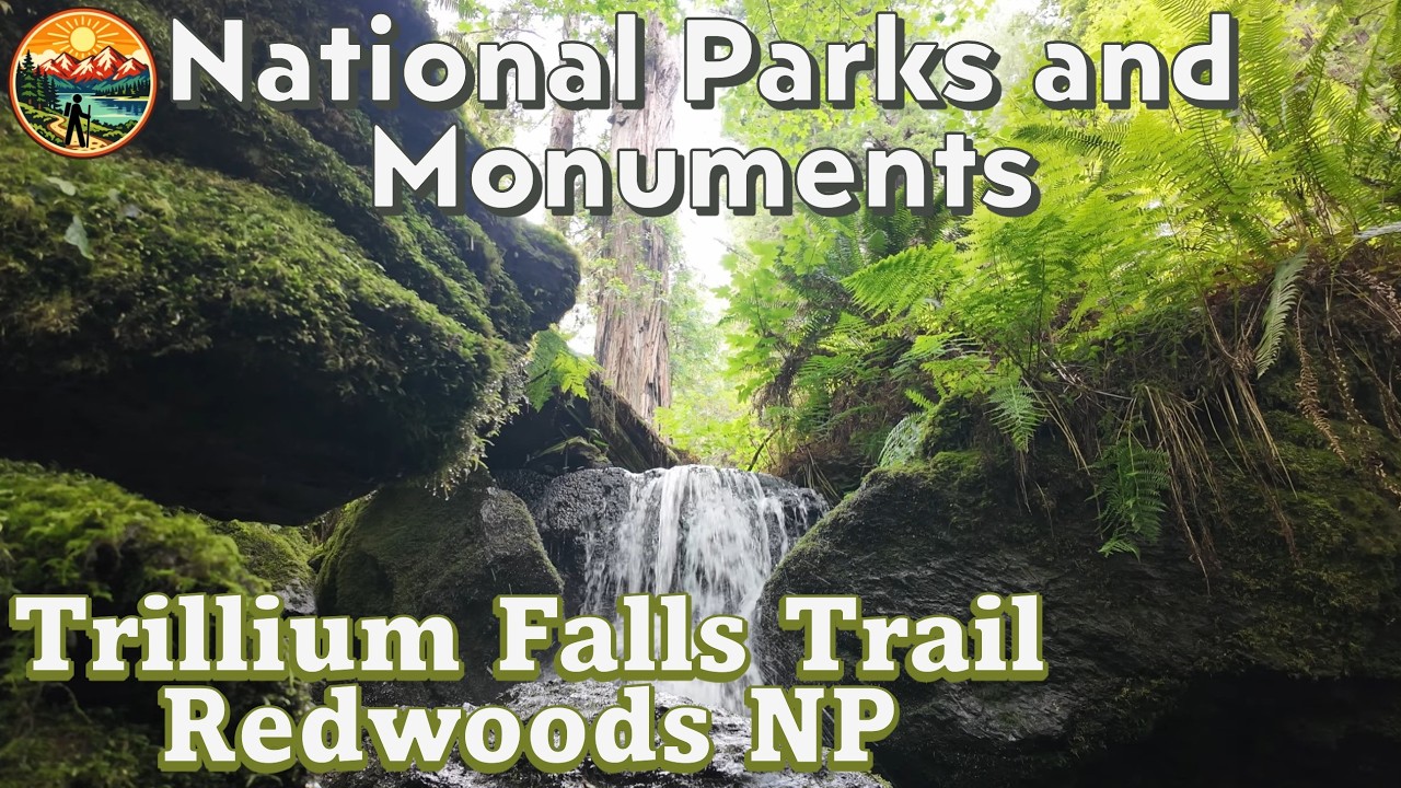 Trillium Falls Trail Review | A Waterfall Hike Through Giant Redwoods