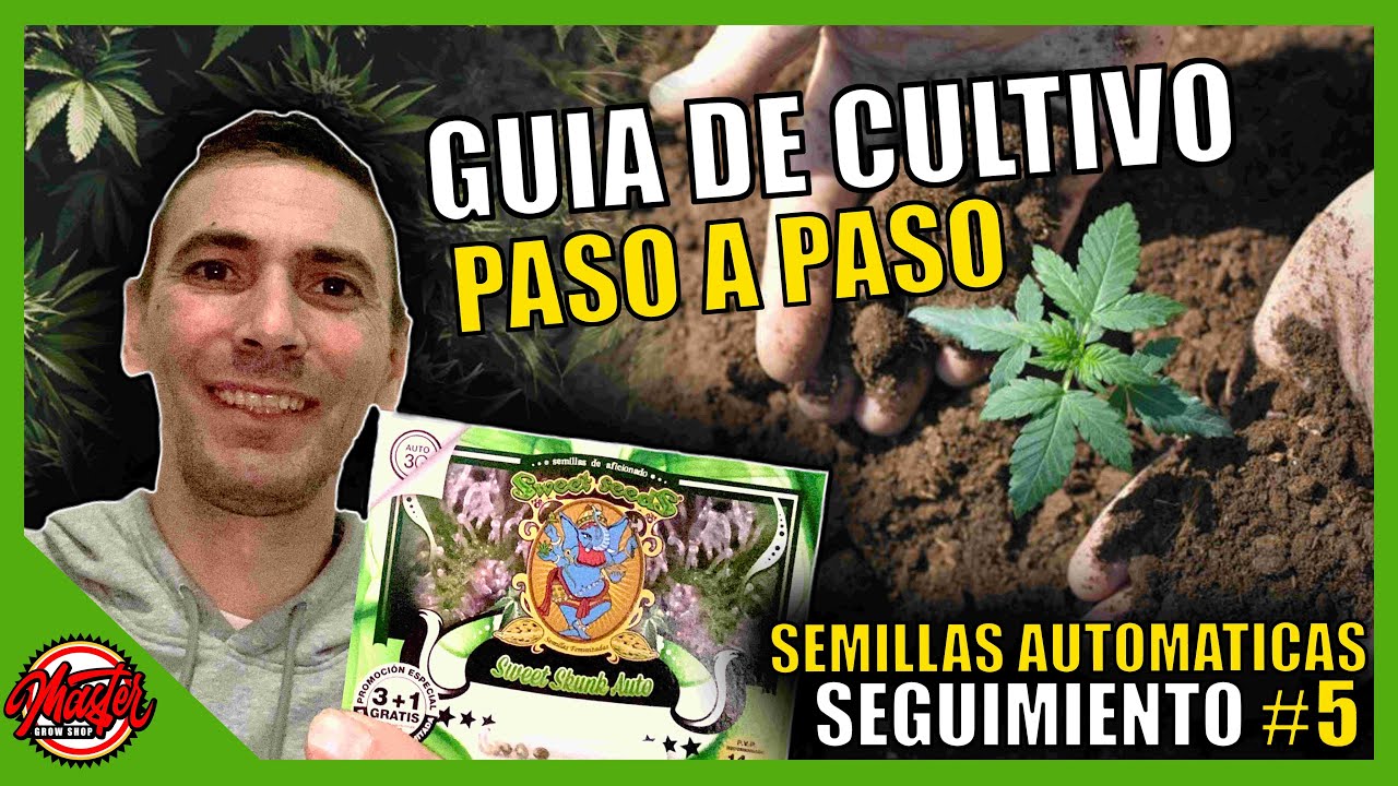 🌱#5- GU&Iacute;A DE CULTIVO | SEMILLAS AUTOFLORECIENTES