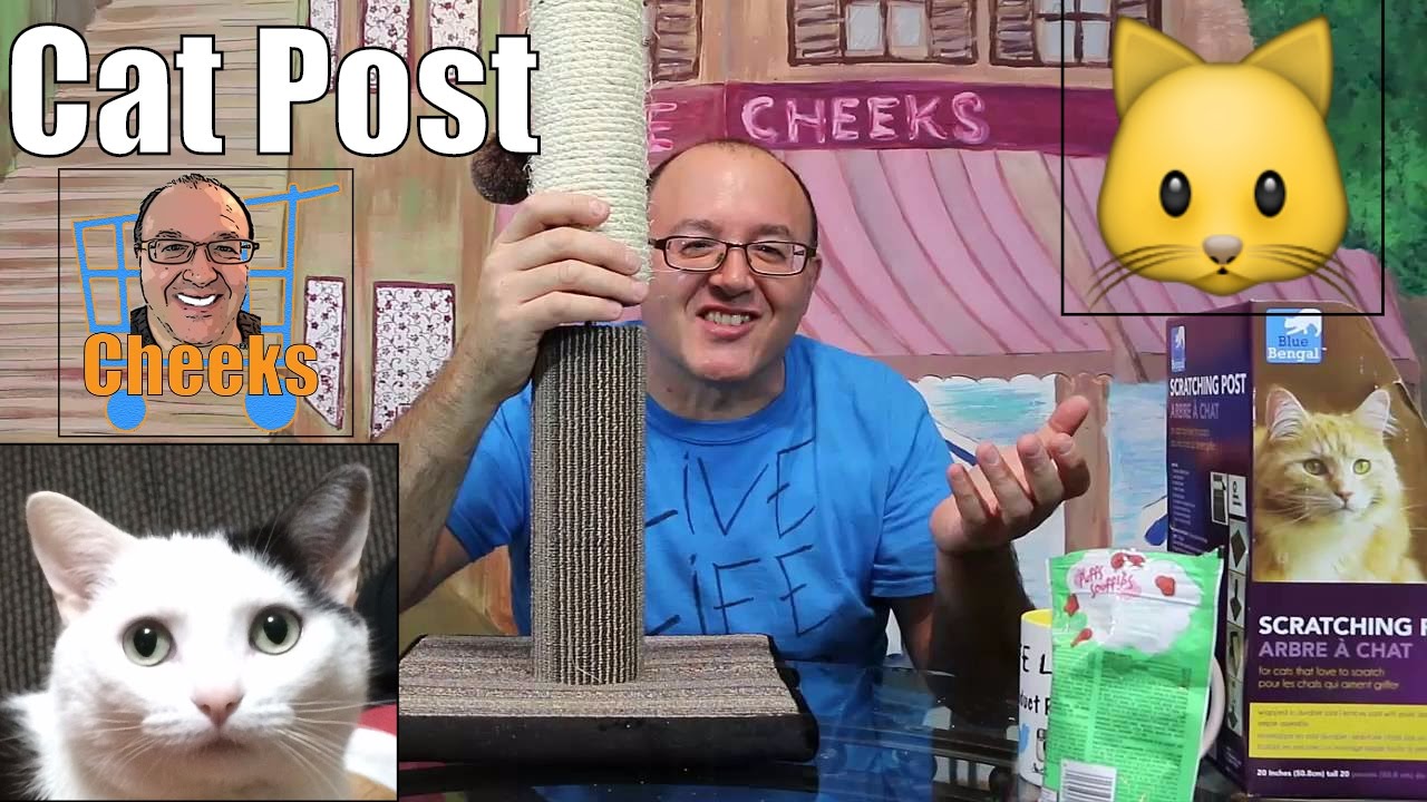 Cat Scratching Post: Blue Bengal Cat Post at Walmart