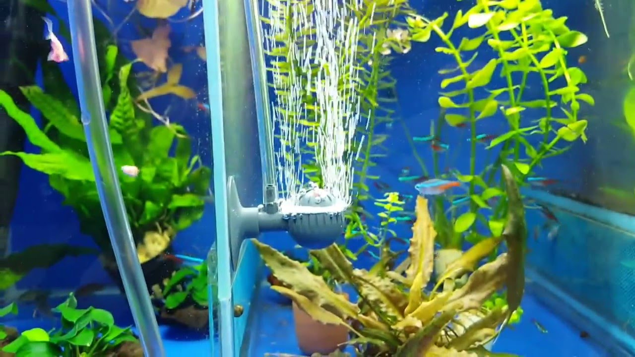 Компрессор Eheim Air 200