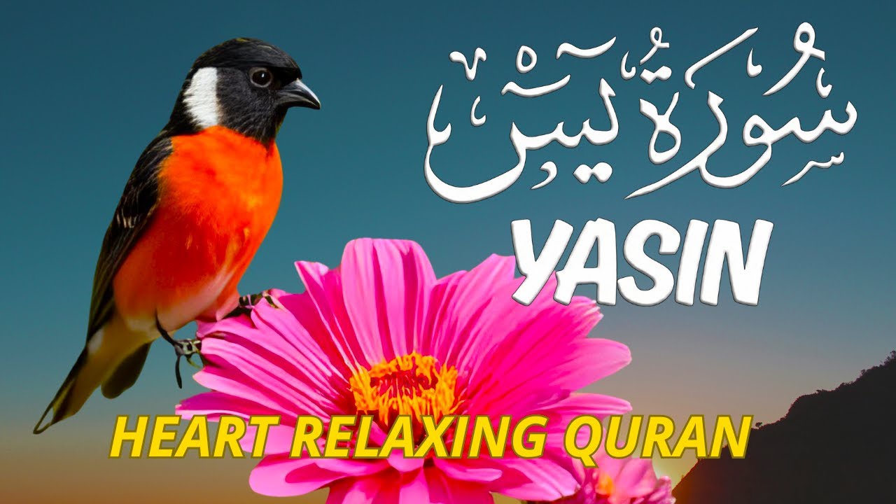 Surah Yasin Pengusir Setan dan Penyembuh Segala Macam Penyakit, Ngaji Merdu | Bukan Alaa Aqel