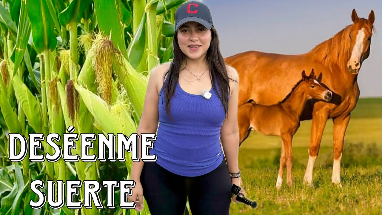 ESTOS SON MIS PROYECTOS EN EL CAMPO PARA EL 2026 🇸🇻 VIDEO 4K | Celinaz