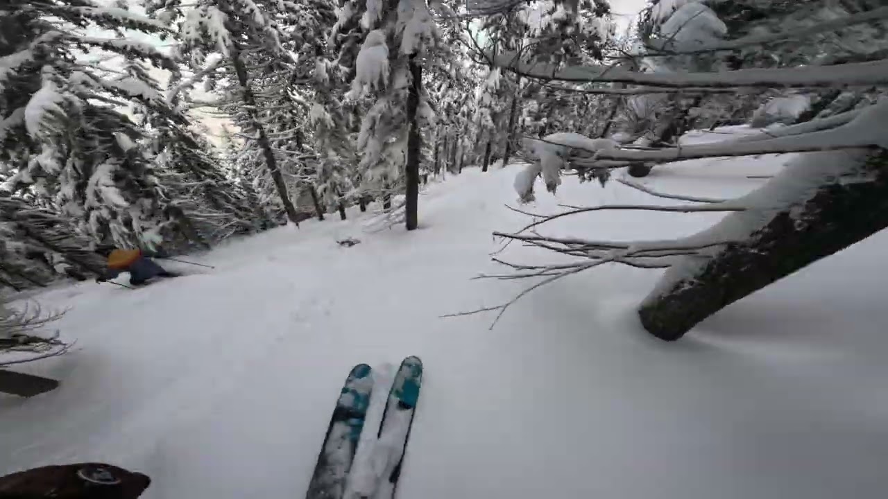Silver Mountain - North Face Glades 4th Gate (2-24-26)