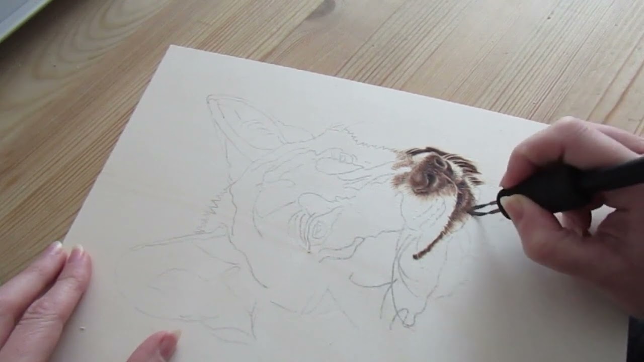 Pirografia Lupo in tempo reale