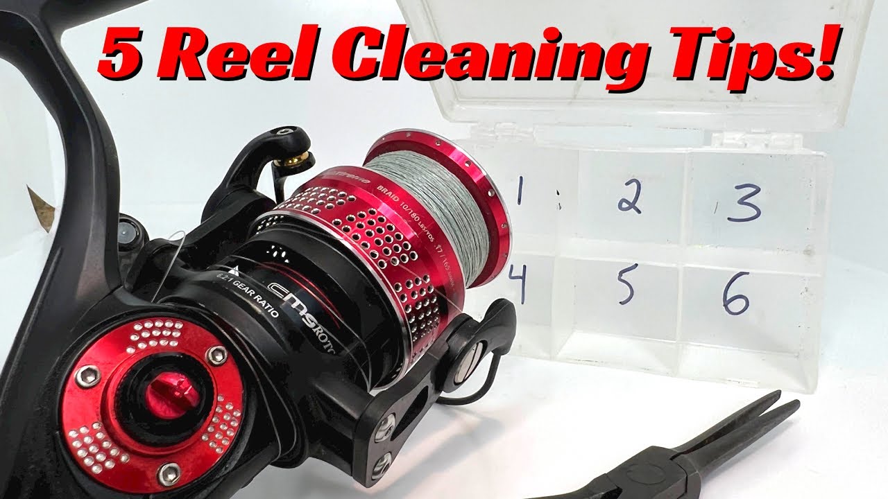5 Must Know Reel Cleaning Tips!