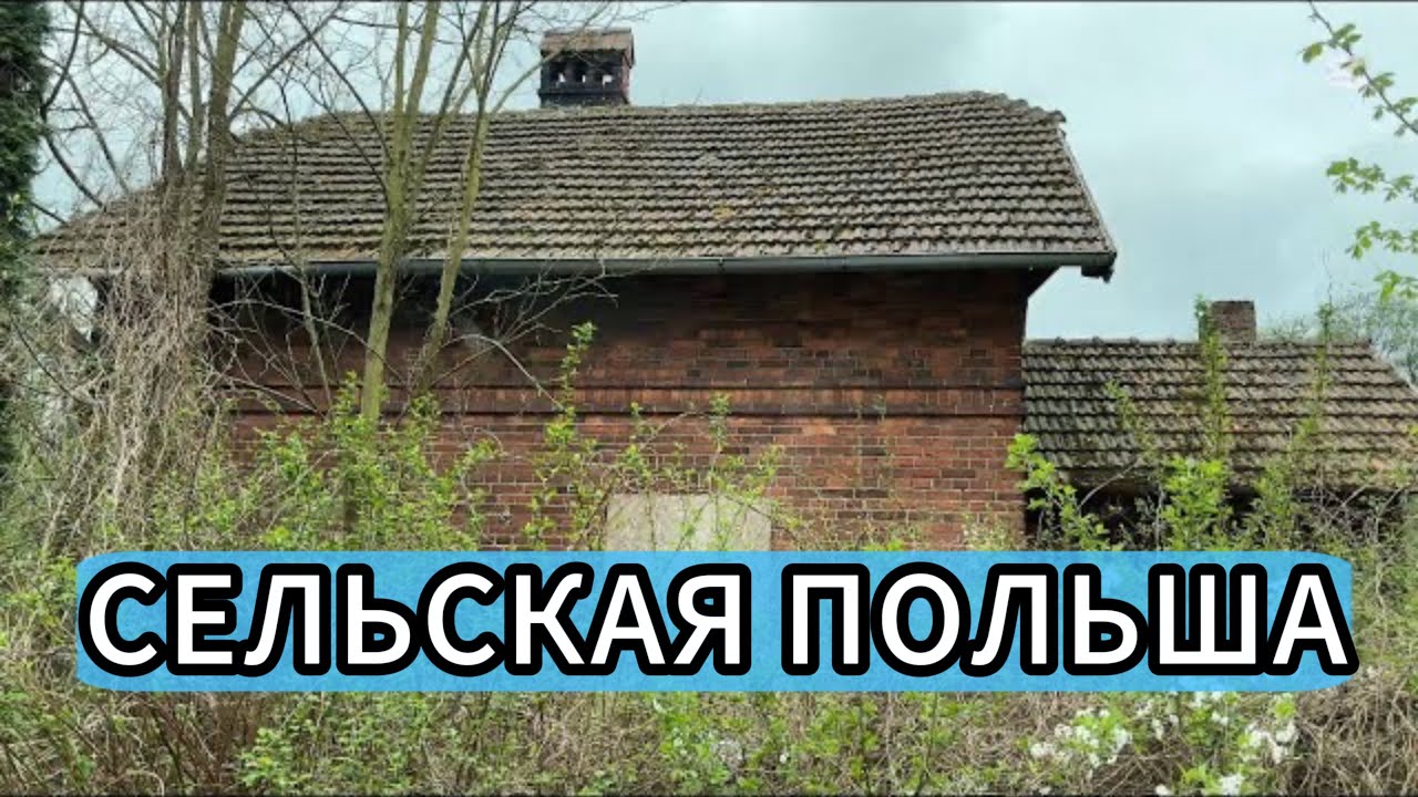 Сельская Польша. Жизнь в Селе Baborówko