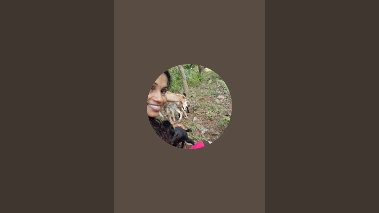 sindhuworld is live