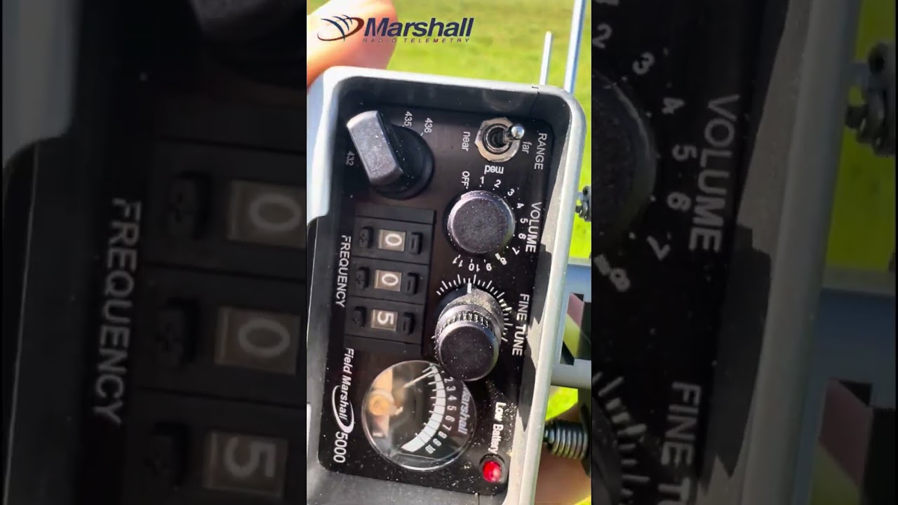 Usando el receptor de radio Marshall receiver