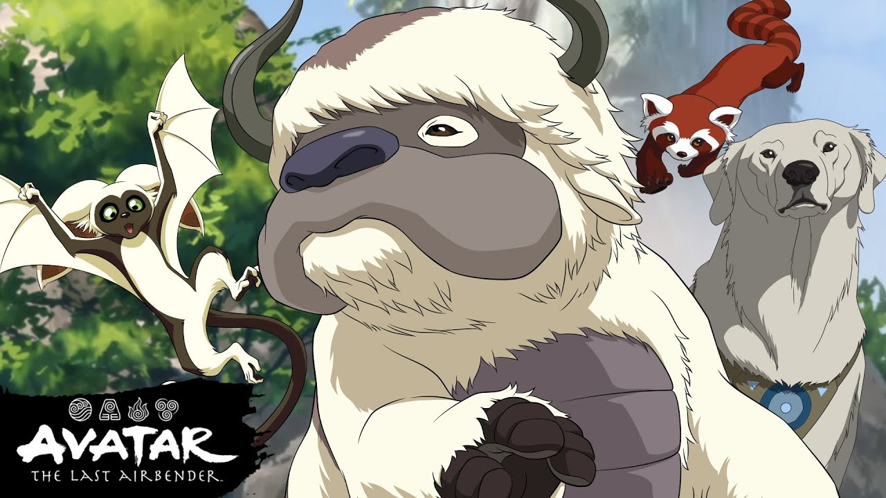 Every Avatar Animal Companion Ever! 🐾 | Avatar: The Last Airbender