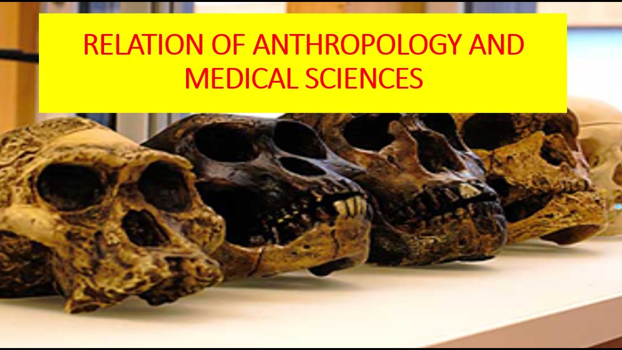 Relation between Anthropology and medical science. #Anthropology #Anthropologyoptional #UPSCmaterial