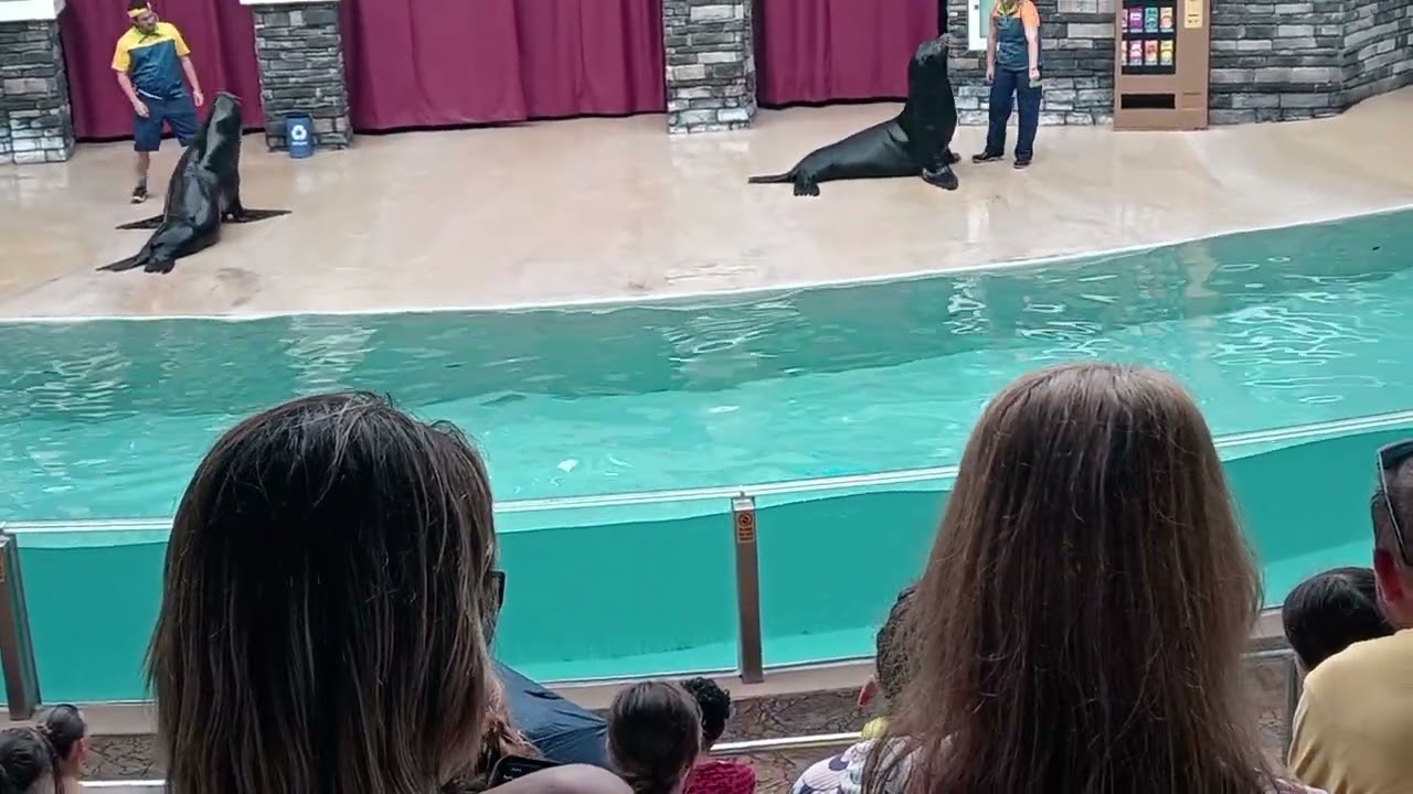 Cuando fui a Estados Unidos