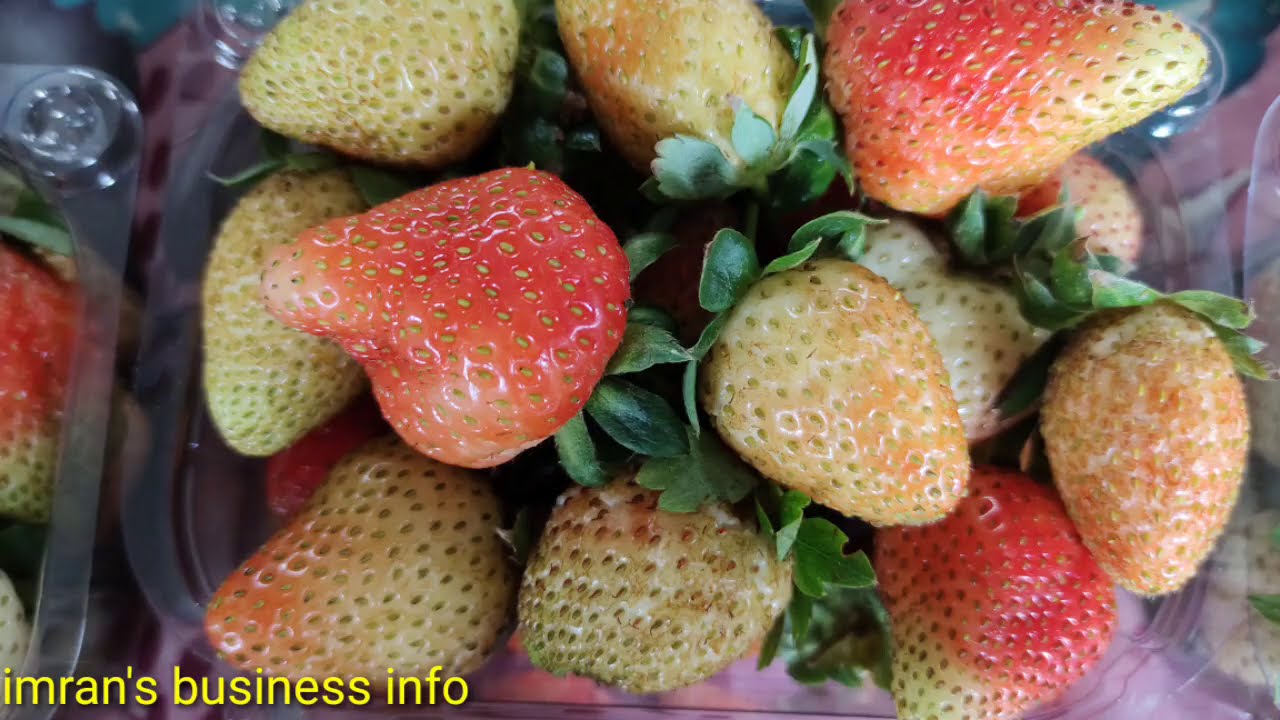Ooty strawberry wholesale