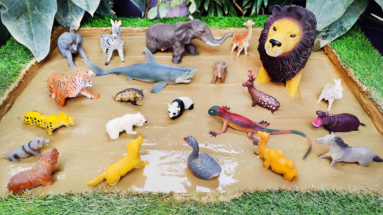 Wild Animals Stuck in Mud 🐻🐯 Learning Adventure with Forest Animals for Toddlers