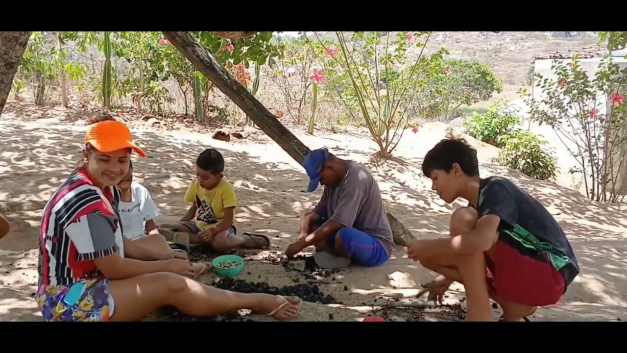 OLHA QUE TURMA ANIMADA QUEBRANDO CASTANHA 🌰 🌰 🌰 🌰 🌰 