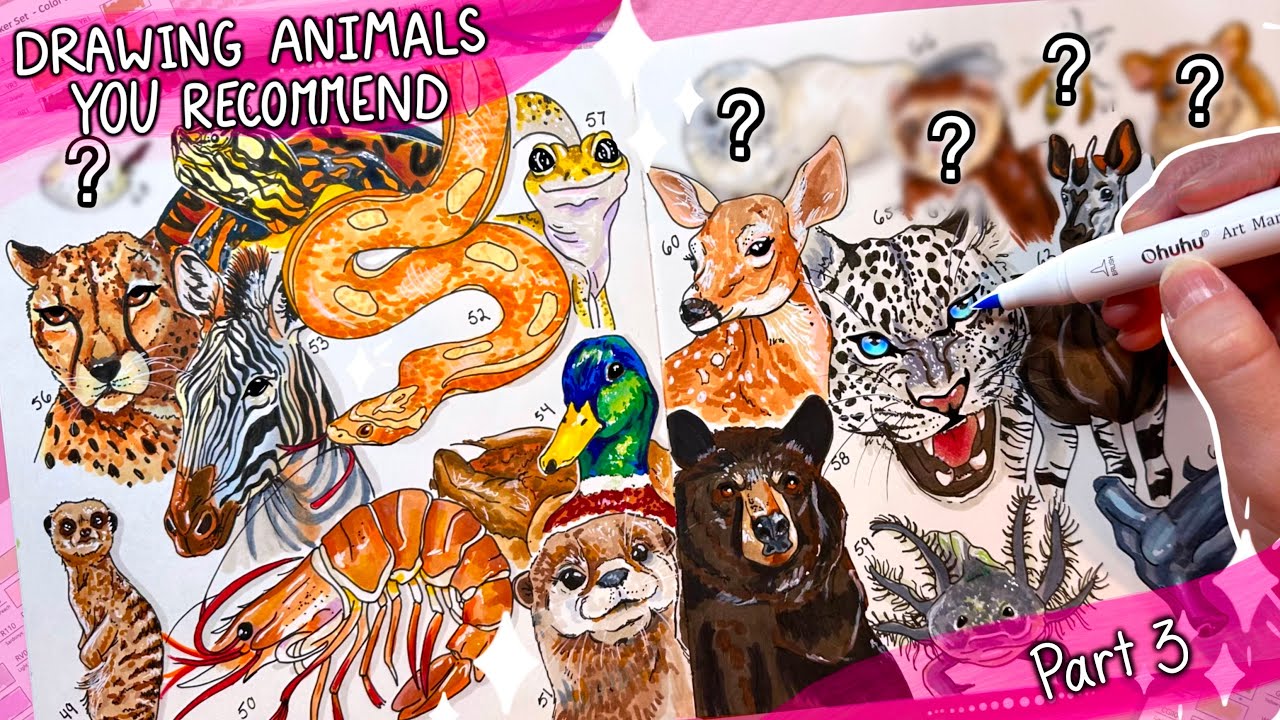 Drawing Animals YOU Recommend pt. 3 🐻🐝🐰 animals 64-68