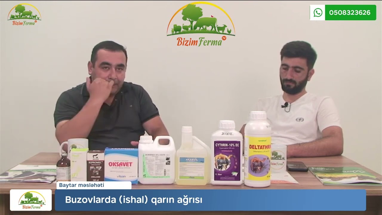 Buzovlarda ishal qarın ağrısı
