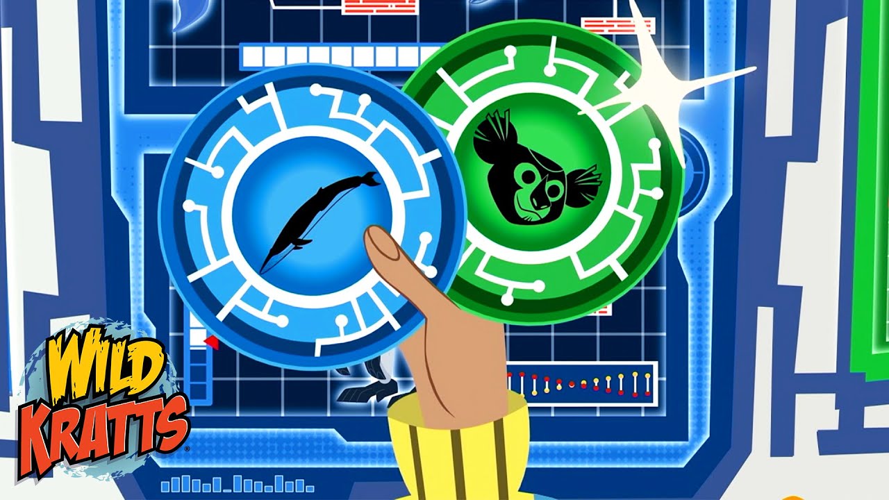 Blue Whale and Indri Lemur | Double Creature Power Transformation | Season 7 | Wild Kratts