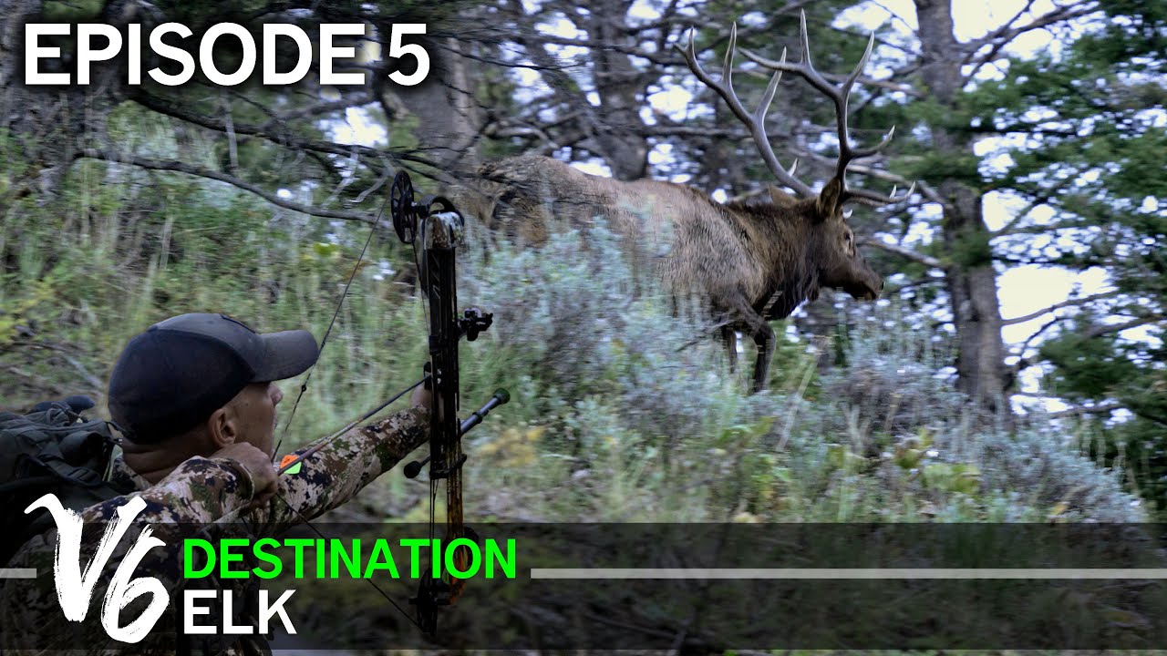 Aim Small, Miss Small - Episode 5 (Destination Elk V6)