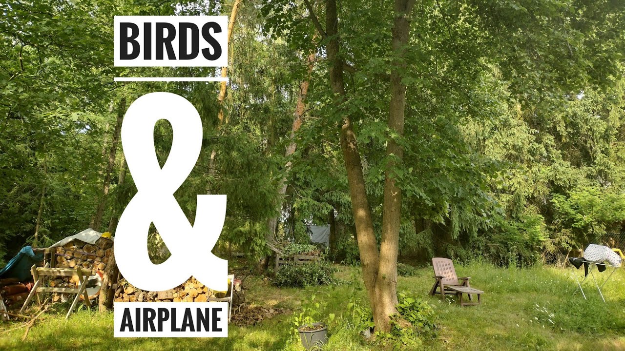 Field recording | Birds and a passing light airplane | Tascam DR-70D & t.bone SC 140.