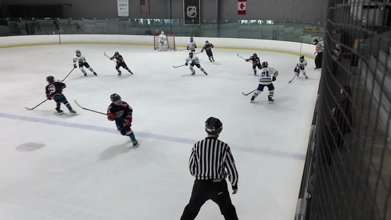 2026.03.08.Ice Dogs 12UA vs CA Waves 3rd Period