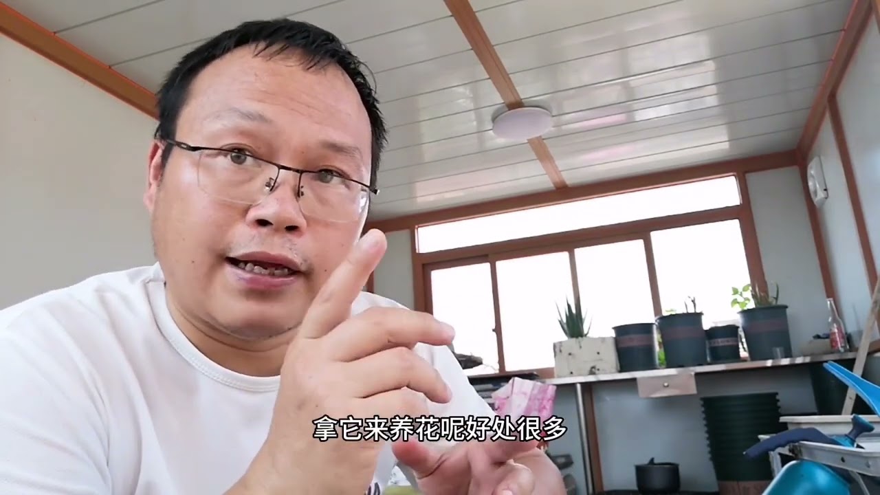 养花别买肥？酵母加啤酒，谁用谁爆盆