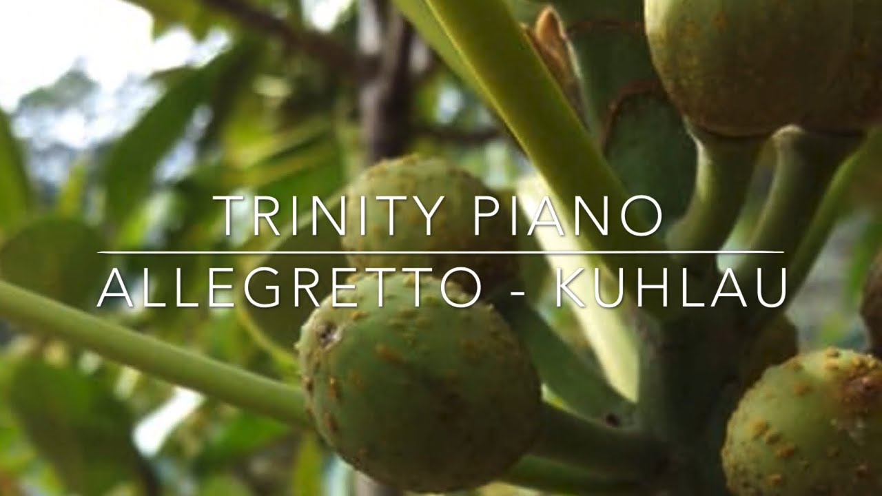 Allegretto, from Sonatina in G, op. 55, no. 2, Friedrich Kuhlau, Trinity Piano Grade 4, 2021-2023